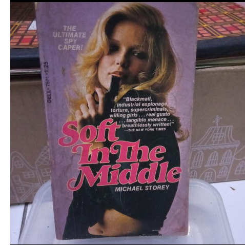 Dijual Buku Novel Lawas Action Romance Remaja Berbahasa Inggris SOFT IN THE MIDDLE By MICHAEL STOREY