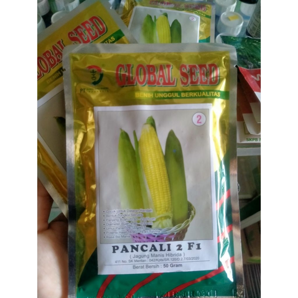 Benih unggul jagung manis pancali 2F1Neto 50g