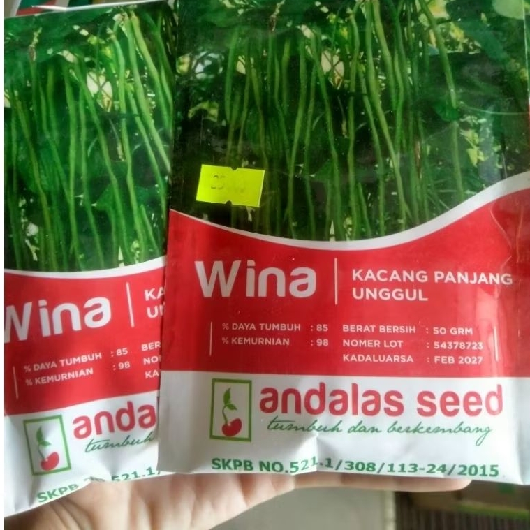 

WINA kacang panjang unggul berat 50gram