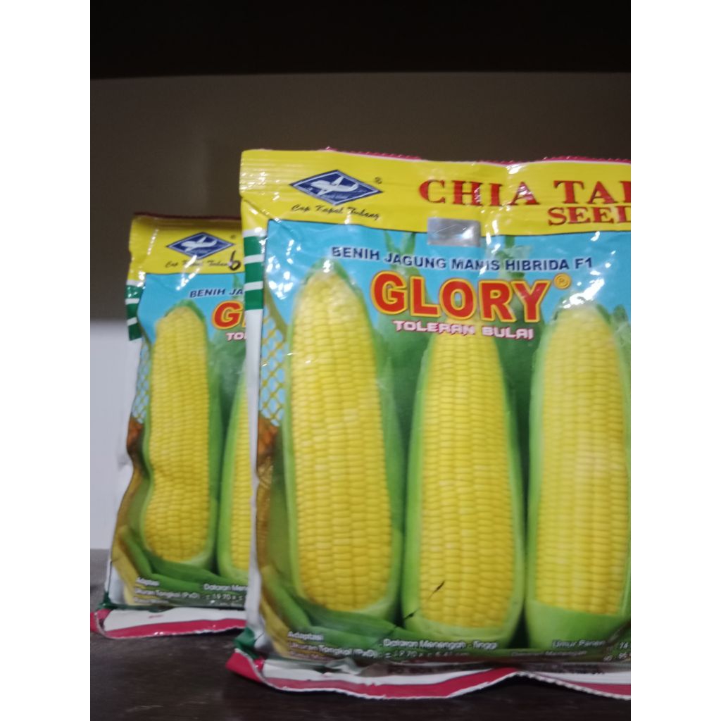 Benih jagung Glory F1