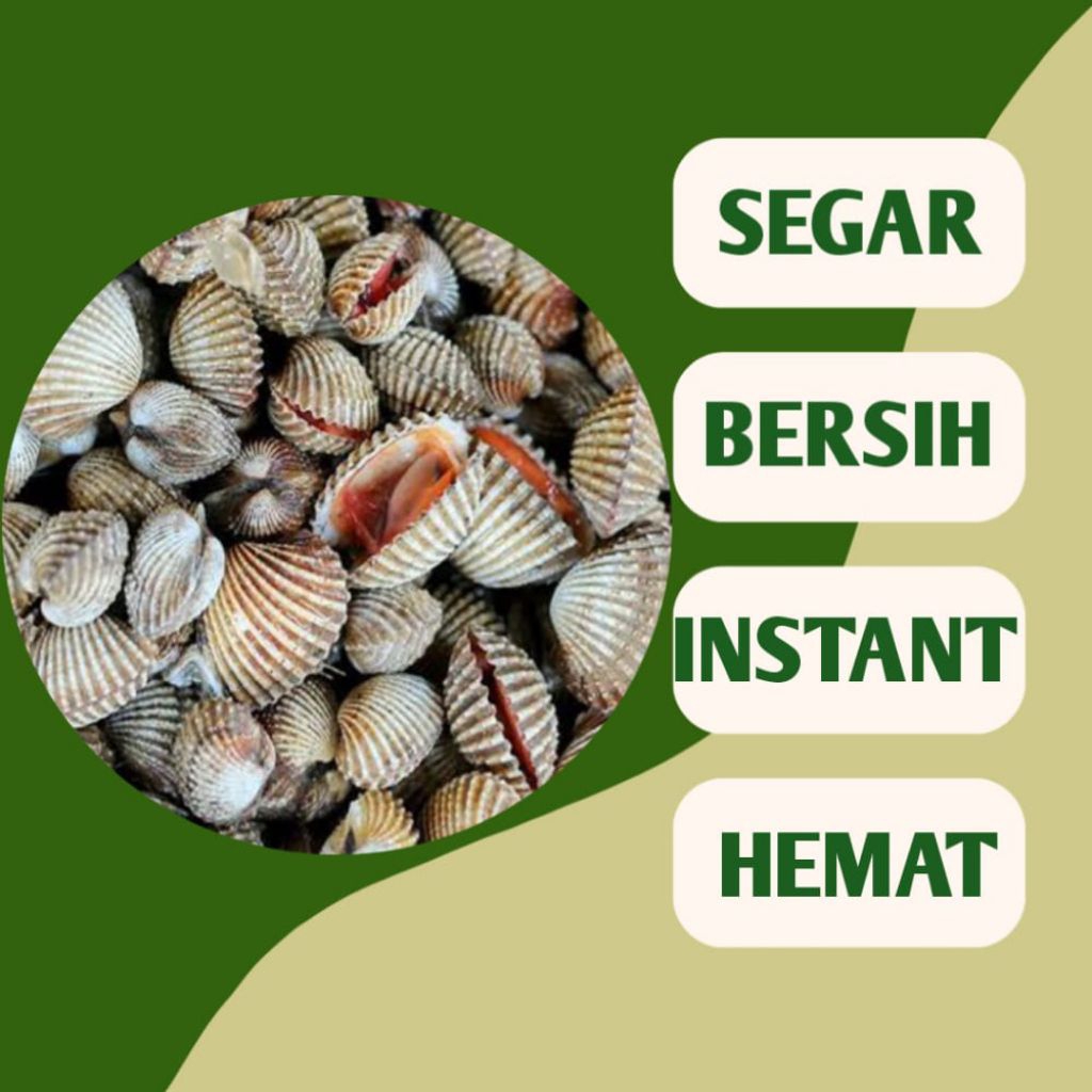 

KERANG DARA SEGAR - INSTAN PALEMBANG