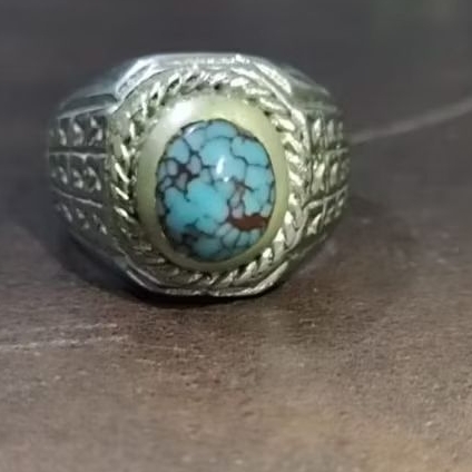 Pirus Mesir, Persia Natural Asli,  dim Kantoran