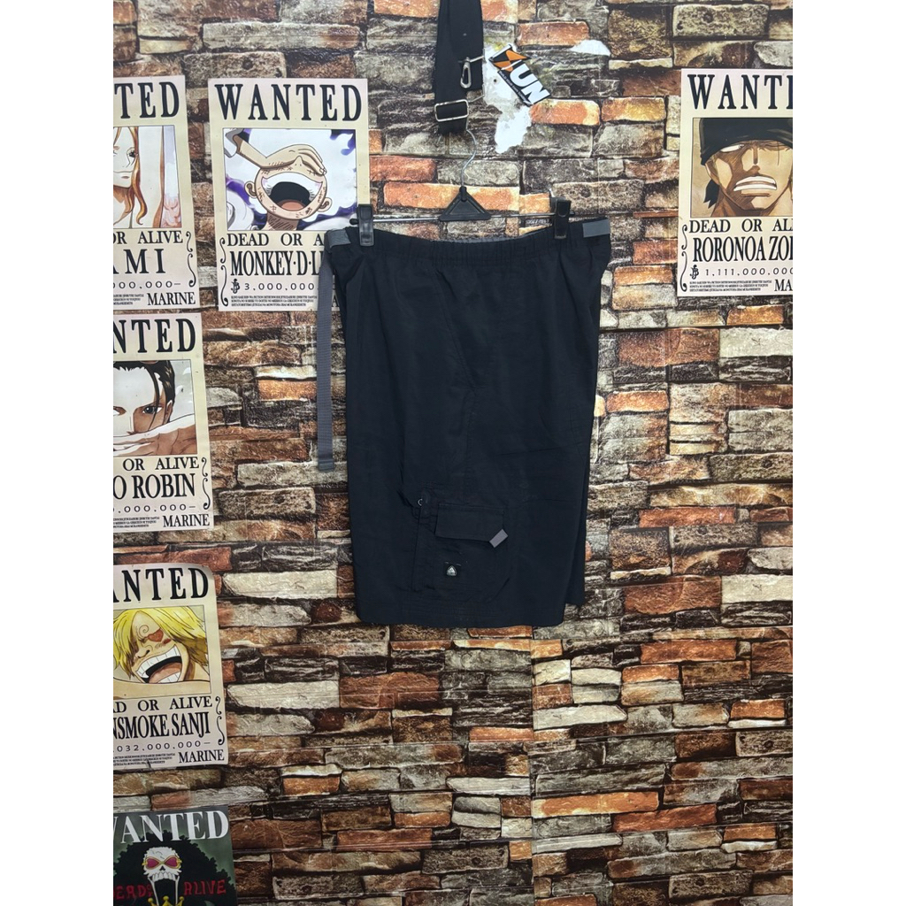 Short pants nike acg cargo