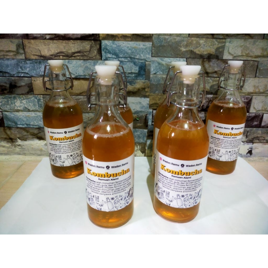 

kombucha starter 500ml