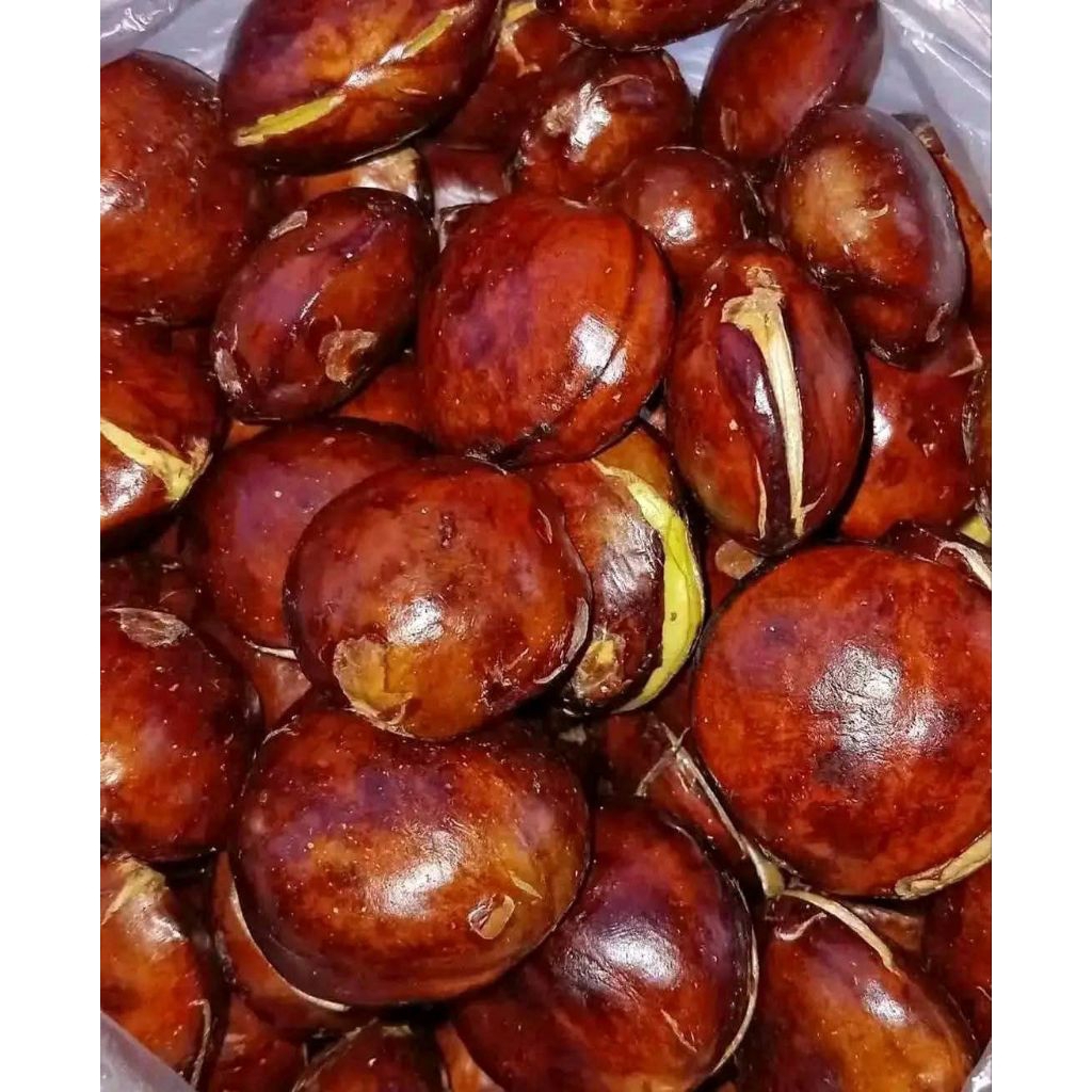 

Jengkol Tua Segar Buat di Masak (Belum di kupass) 1kg bersih