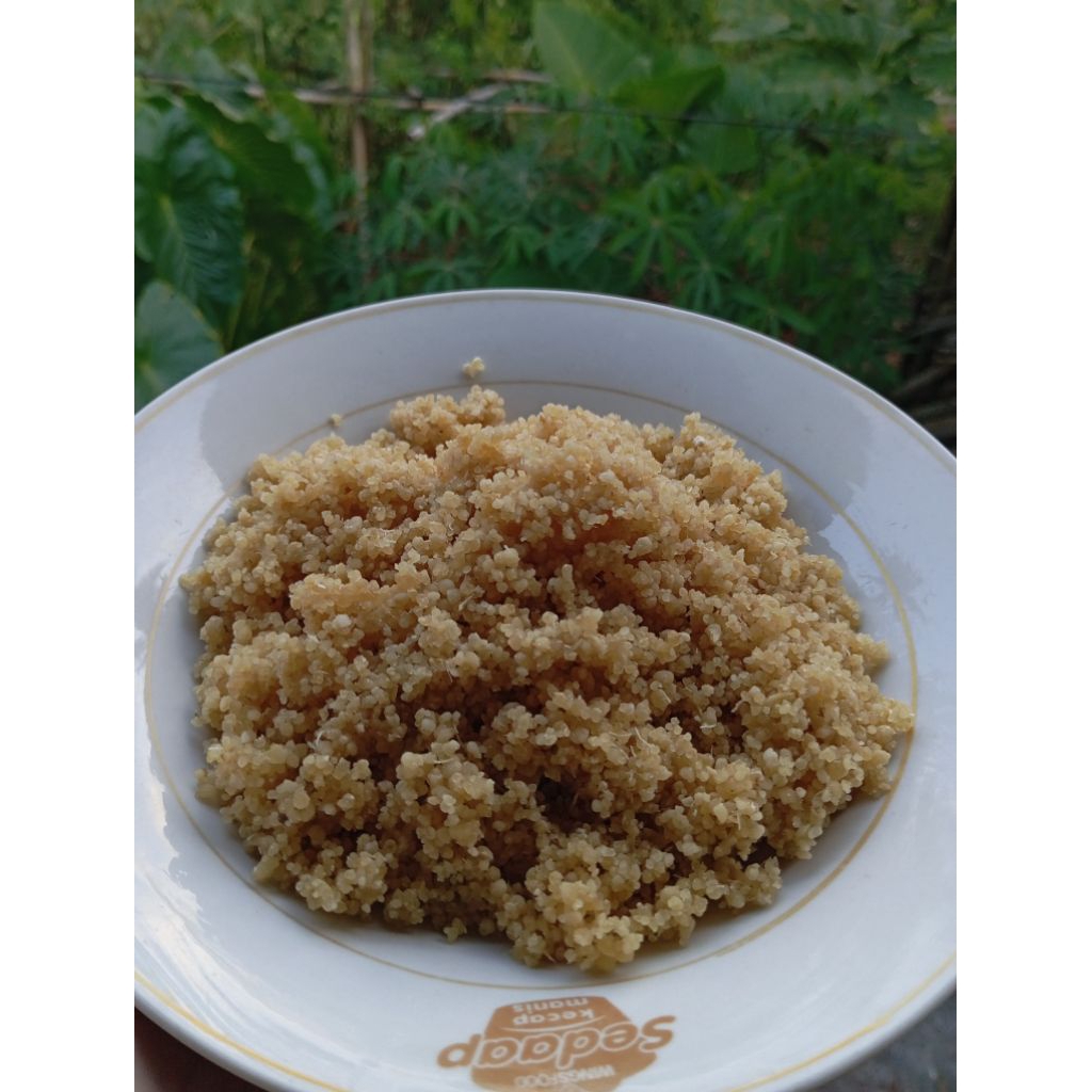 

Nasi Tiwul/Karak Tiwul/Nasi Singkong/Tiwul