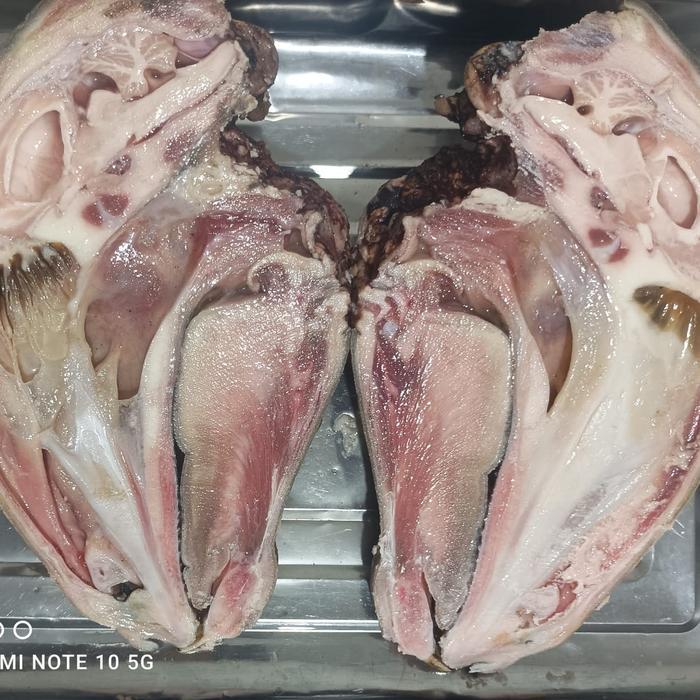 

Kepala Kambing belah dua (harga per kg)