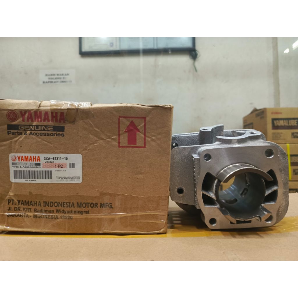 Yamaha Genuine Parts CYLINDER BLOK SEHER F1ZR FIZR Force1 YP 1 /YP 2 100% Original 3XA-E1311-10