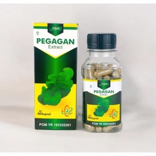 Syifa Pegagan Isi 60 Kapsul