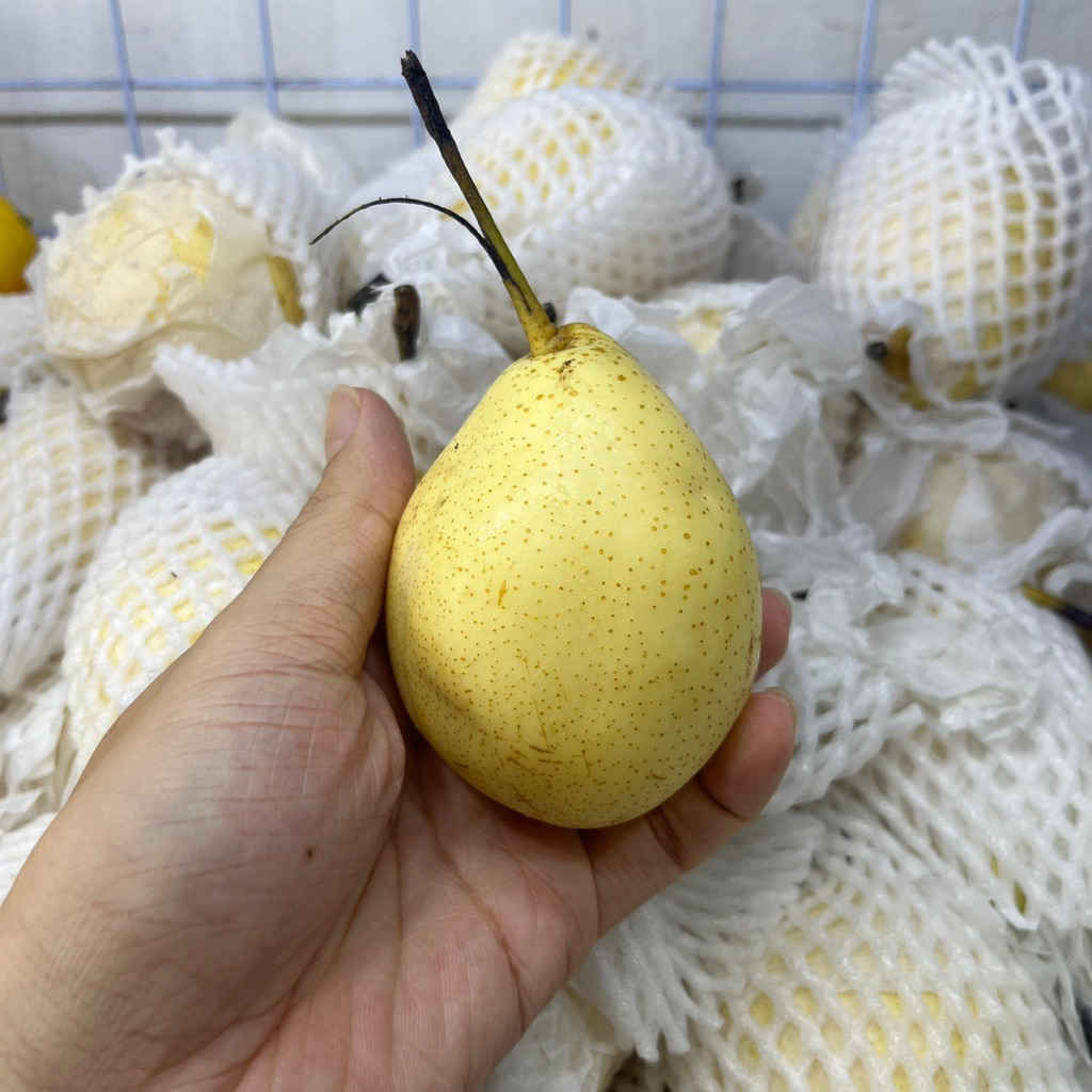 

PEAR YALIE 1 KG | BUAH PIR FRESH SEGAR