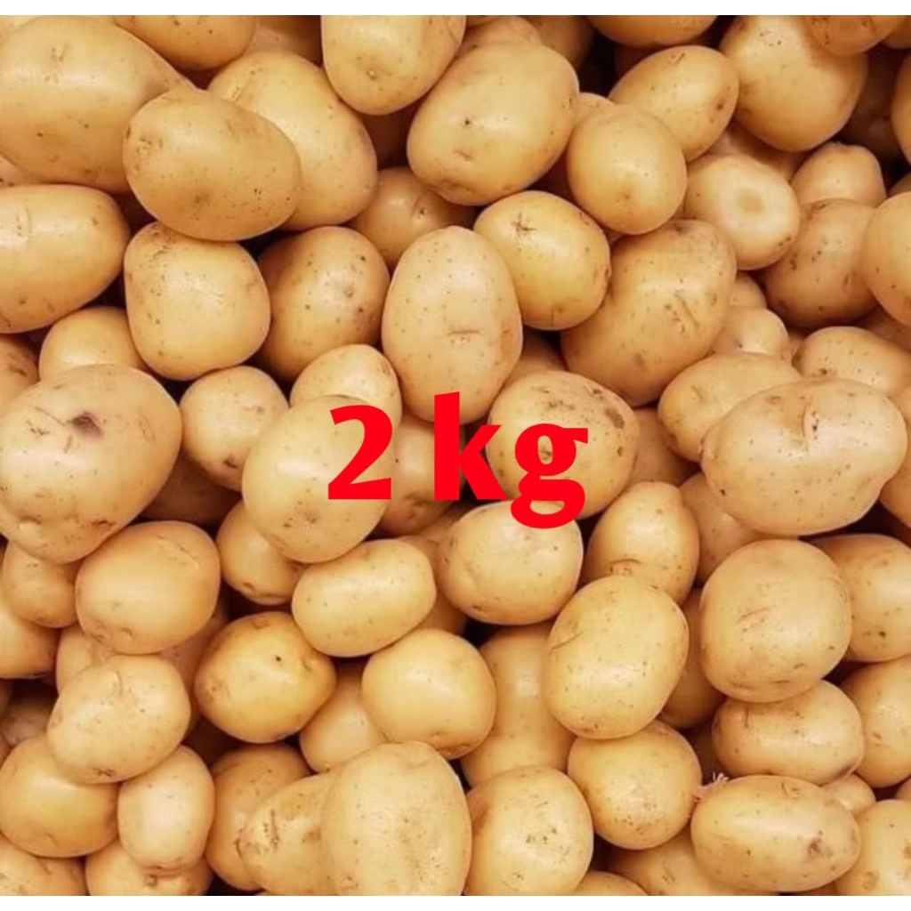 

kentang Dieng 2kg Wonosobo ukuran standar terbaik, cocok untuk sayur dan kripik