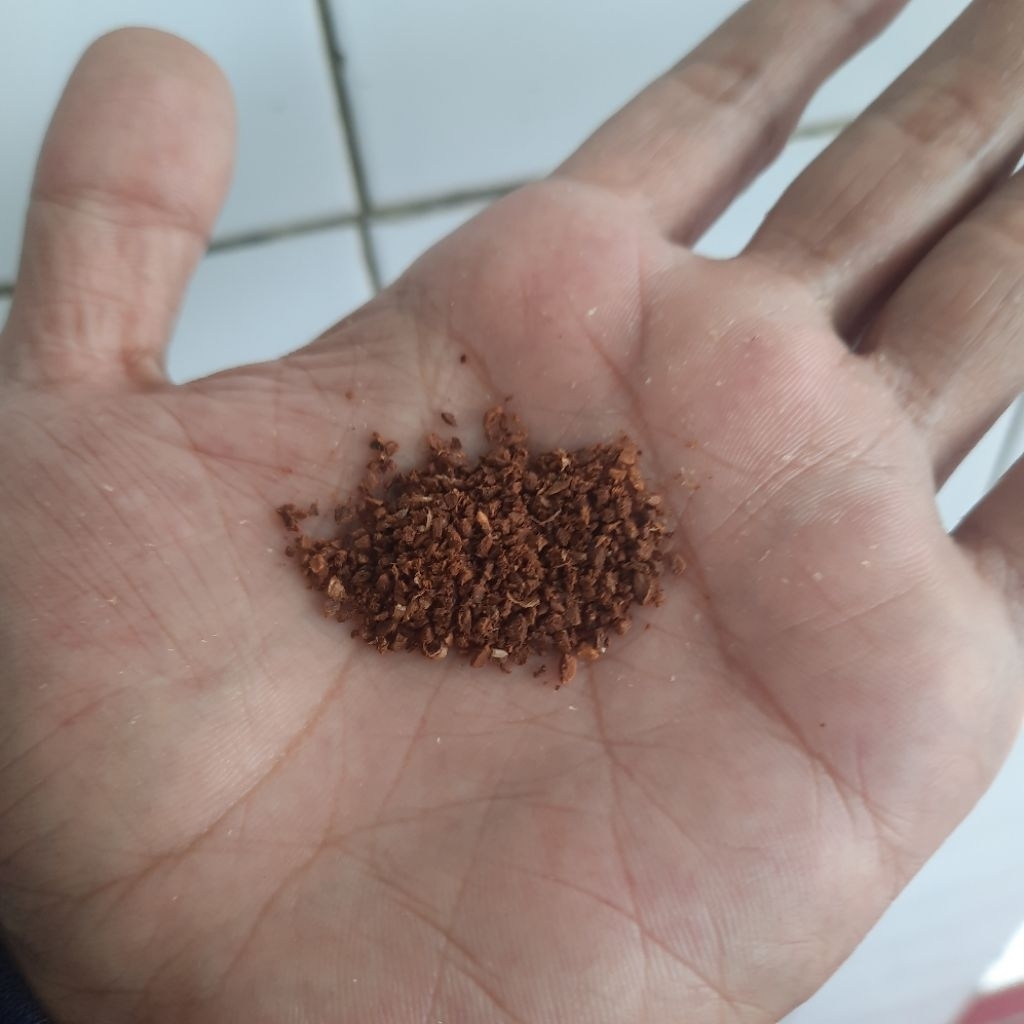 

SAMPEL ARABICA CWD COFFEE 50GR