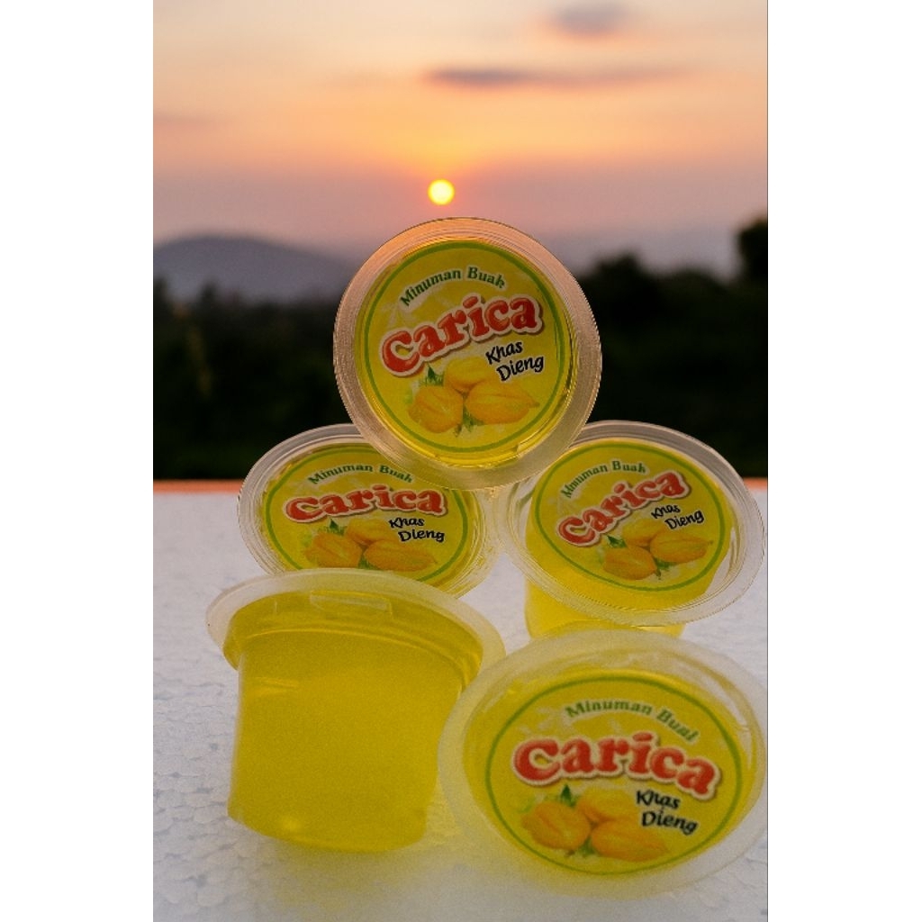 

Carica Buah Dieng Cup Mini 70 ml – Segar, Manis, Siap Konsumsi