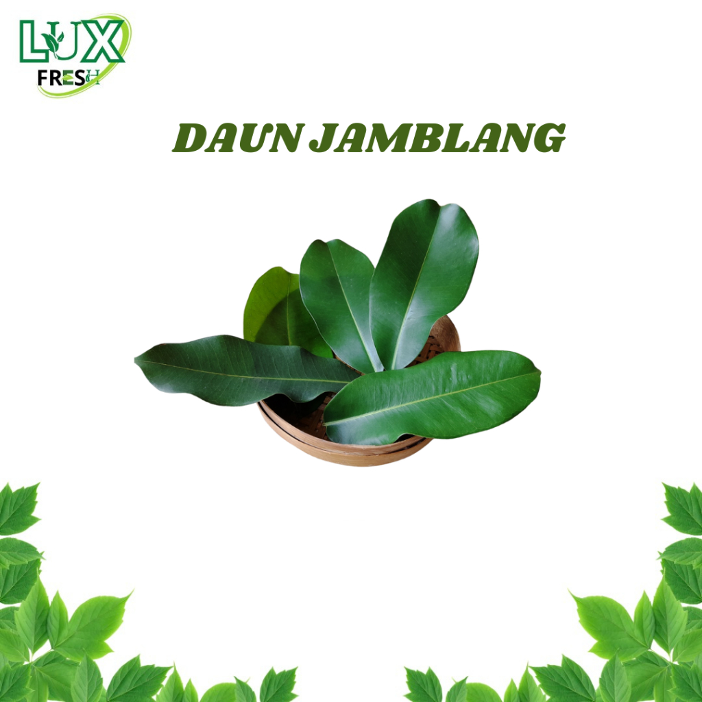 

VARIAN DAUN COA+ BEBAS PEPSTISIDA BEST SELLER