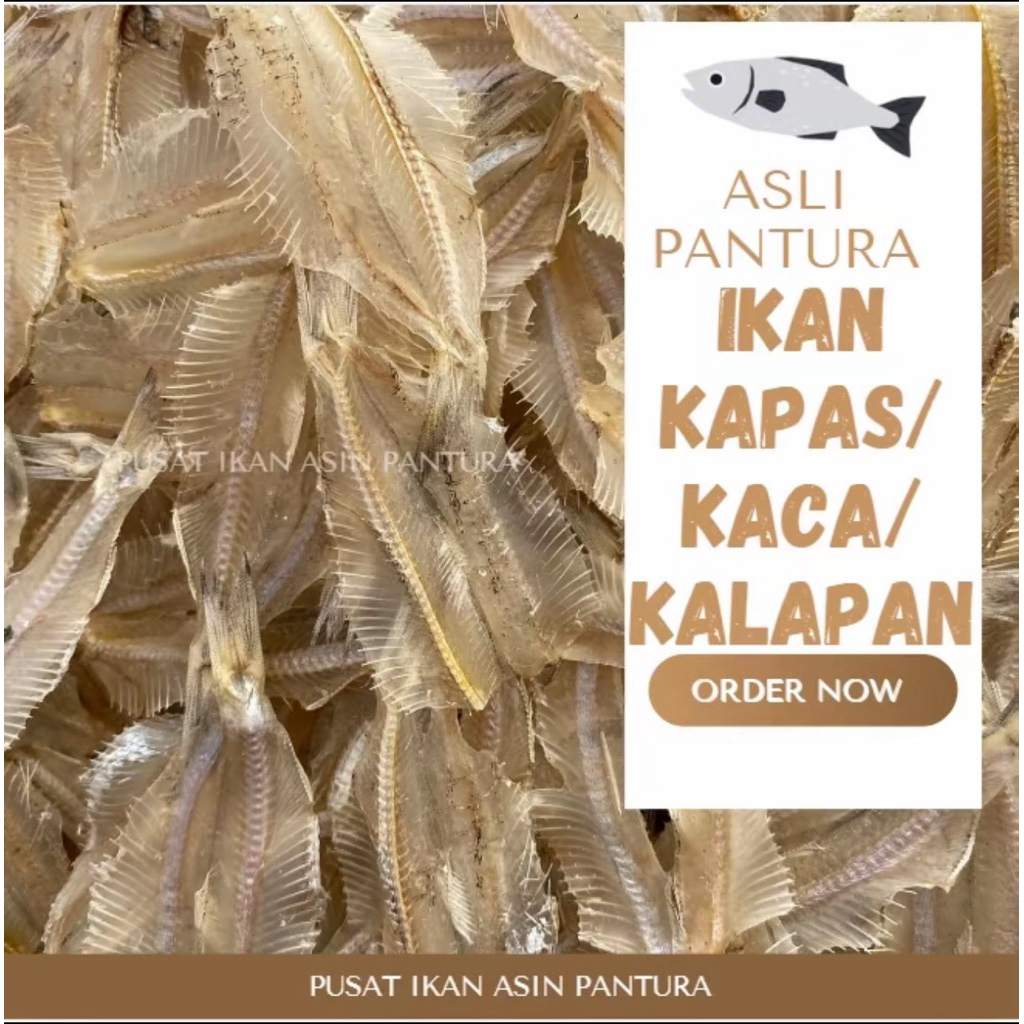 

IKAN KACA KALAPAN KAPAS TAWAR