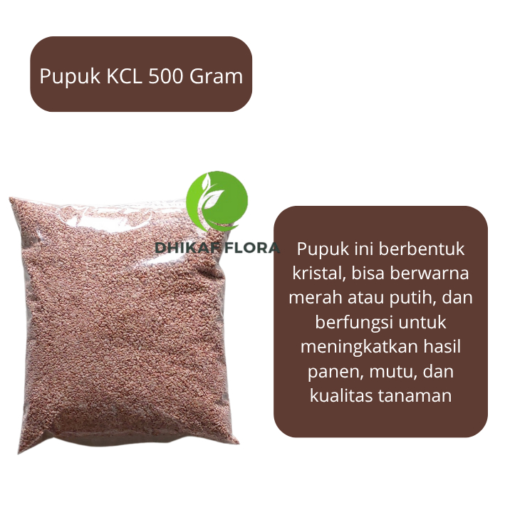 Pupuk KCL Lokal 500 Gram
