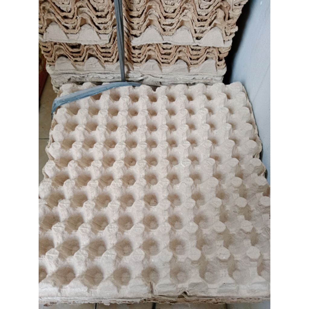 

Egg tray, tempat telor layak pakai. 10 biji