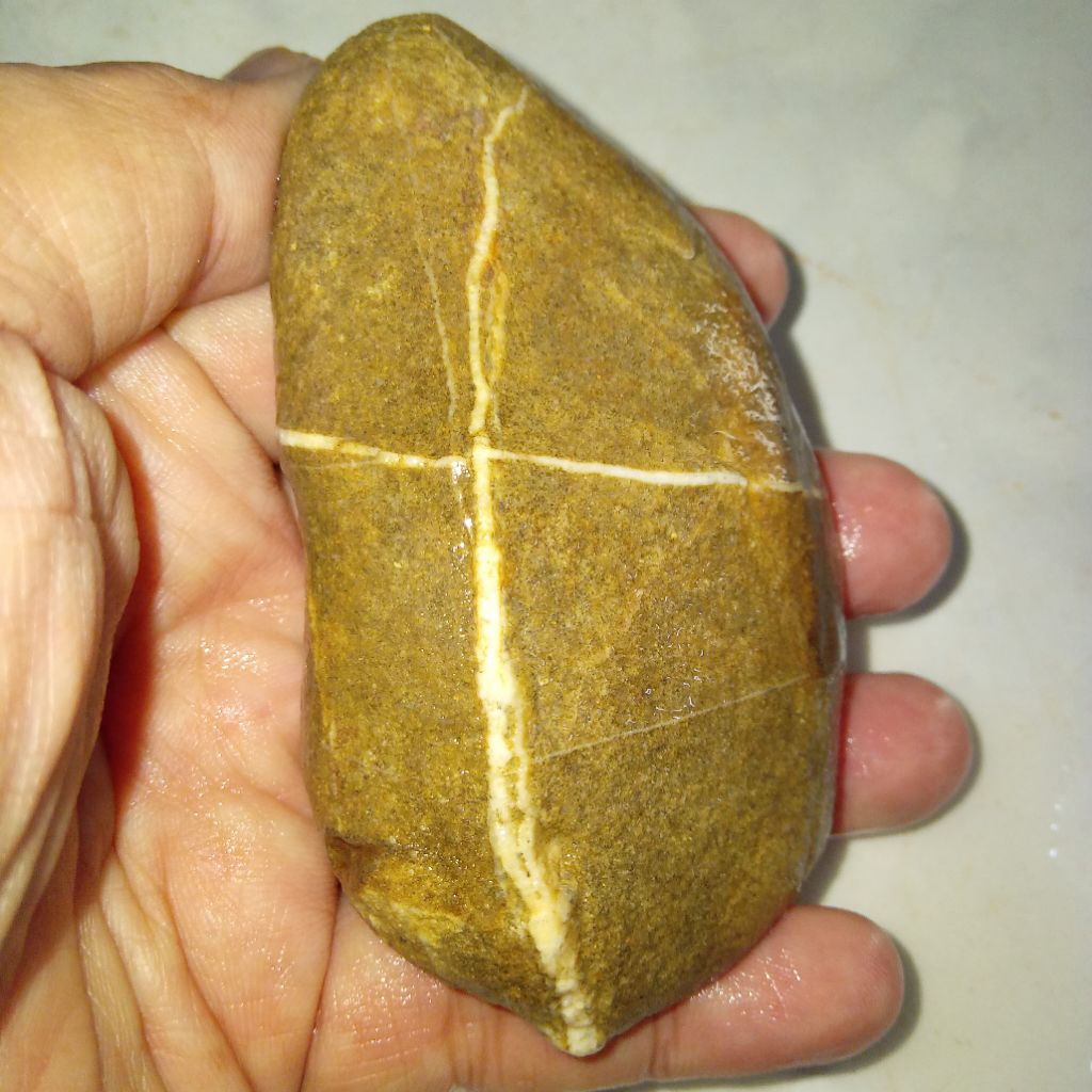 Original Batu Akik Tapak Jalak Kwalitas Terbaik