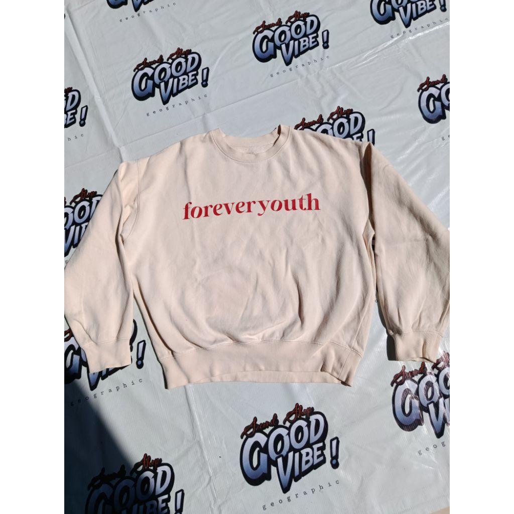 crewneck giordano boxy