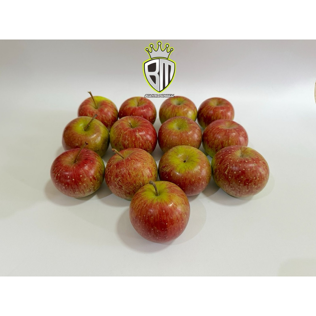 

Apel Malang Rome Beauty Tanggung ukuran 12-14 buah 1kg