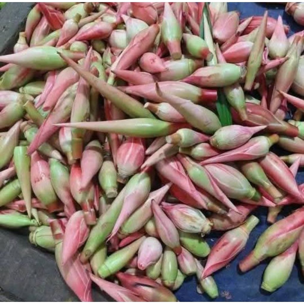 

kecombrang + pakis satu paket