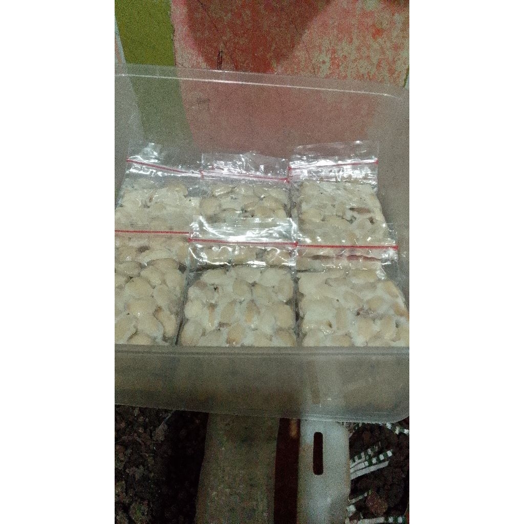 biji jarak fermentas