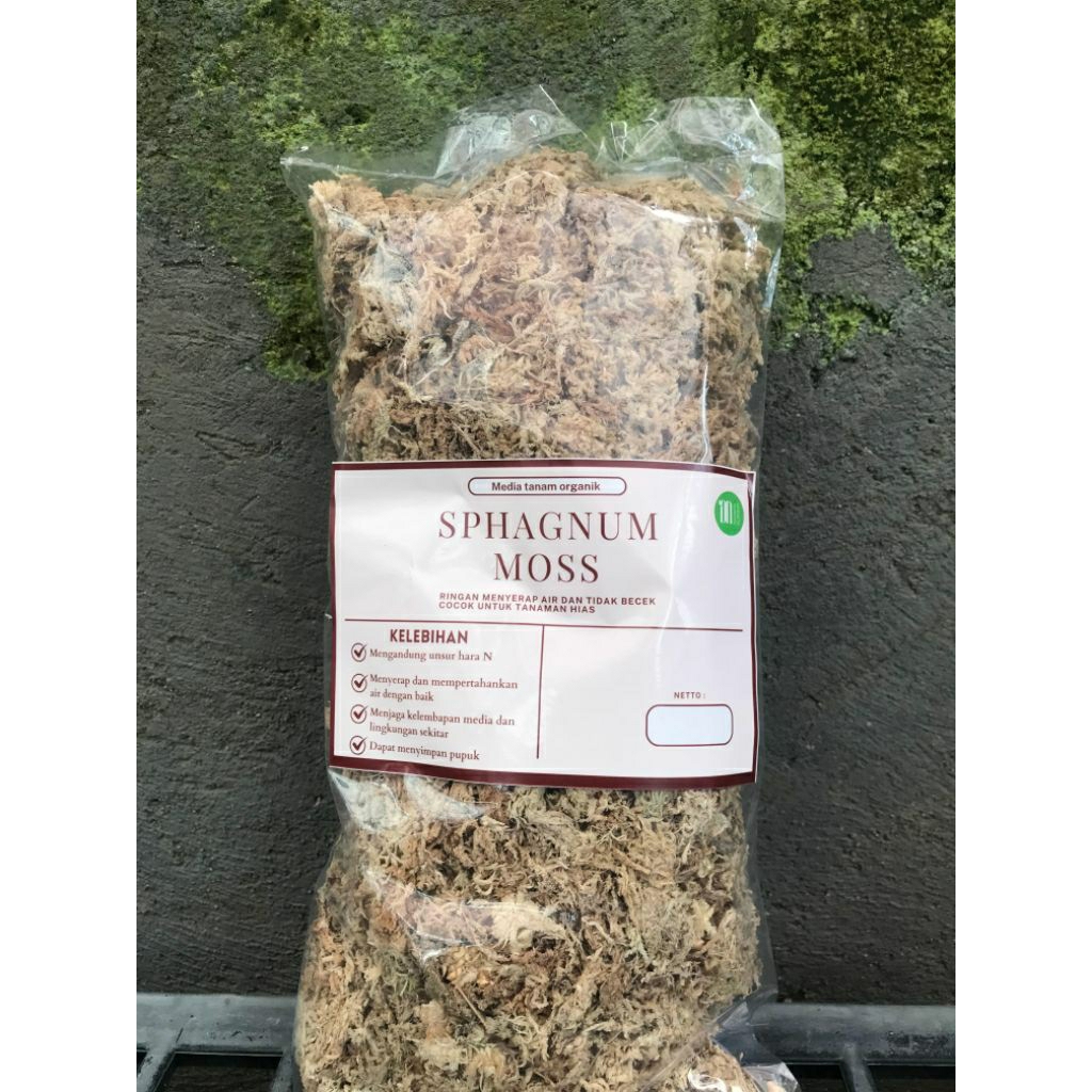 Sphagnum/moss/putih/kering