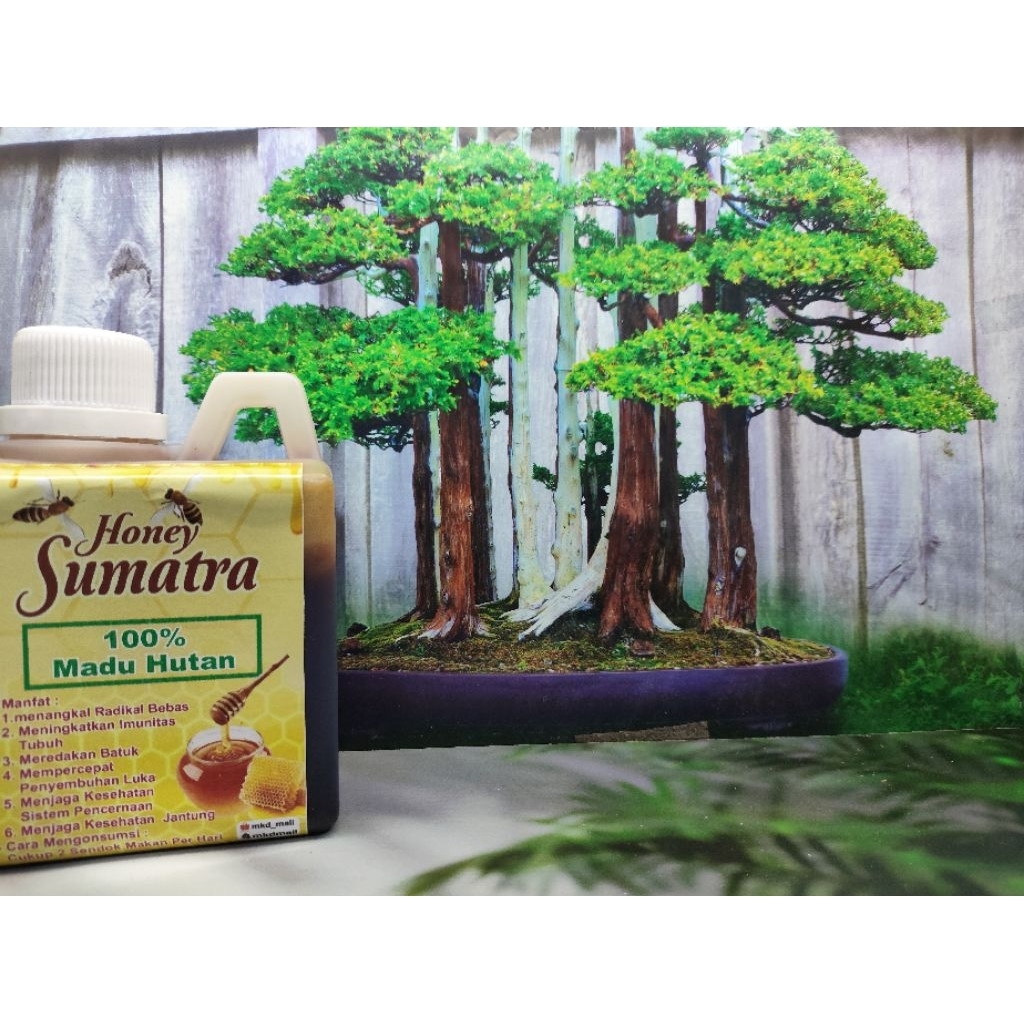 

madu hutan asli/madu sumatra murni ukuran 500ml /500g