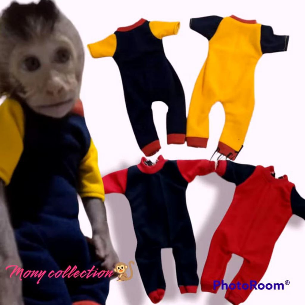 baju monyet peliharaan