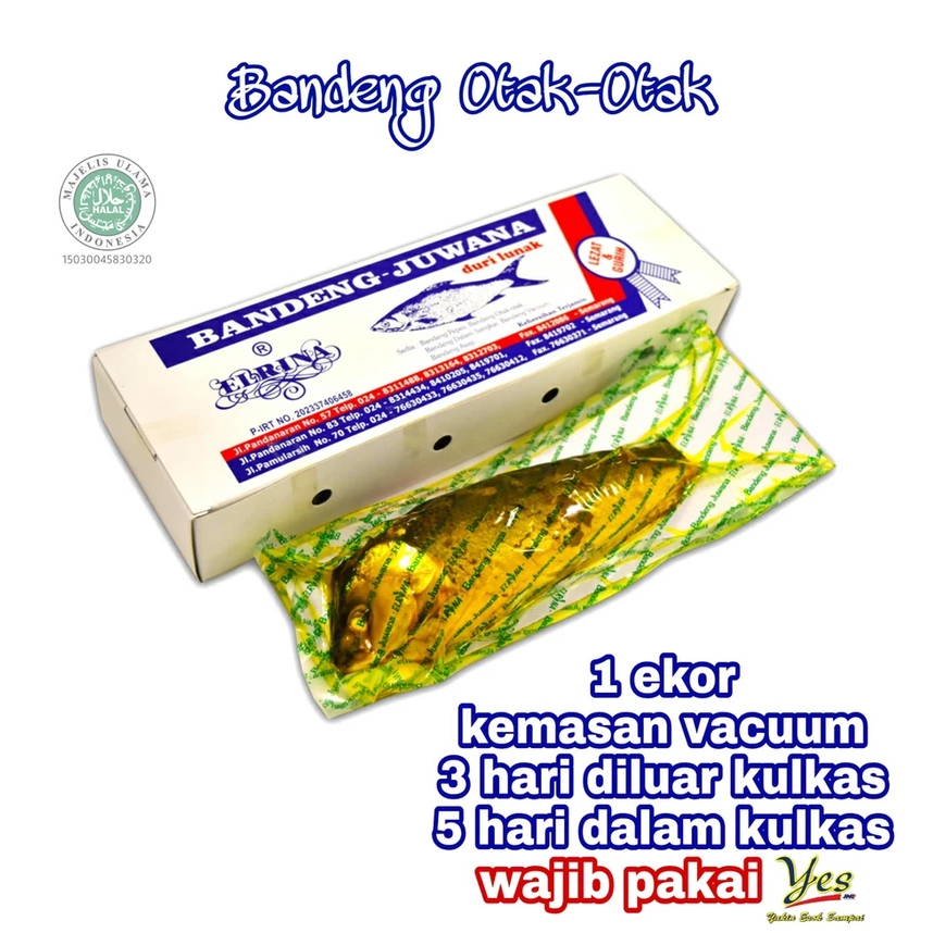 

OLEH OLEH SEMARANG 1Ekor Otak-otak Bandeng Presto Juwana Vacuum Semarang
