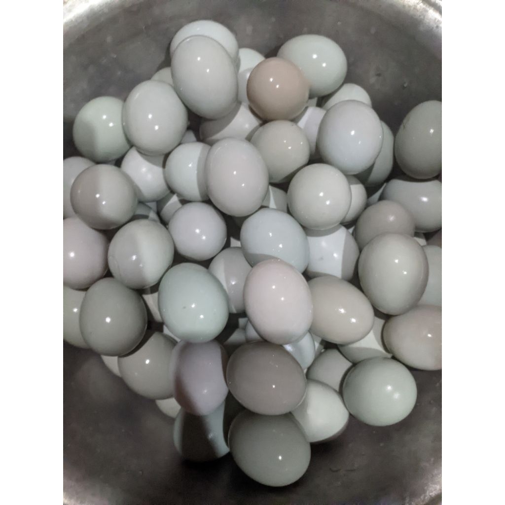 

Telur bebek mentah
