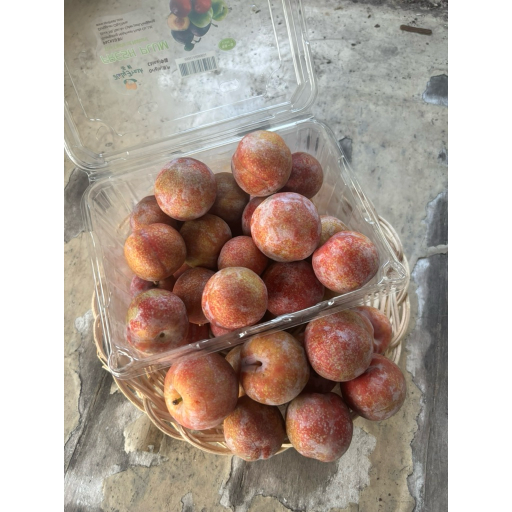 

buahfreshku - plum hitam 500 gram