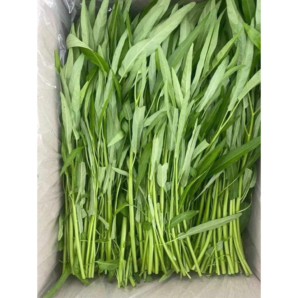 

Sayur Kangkung