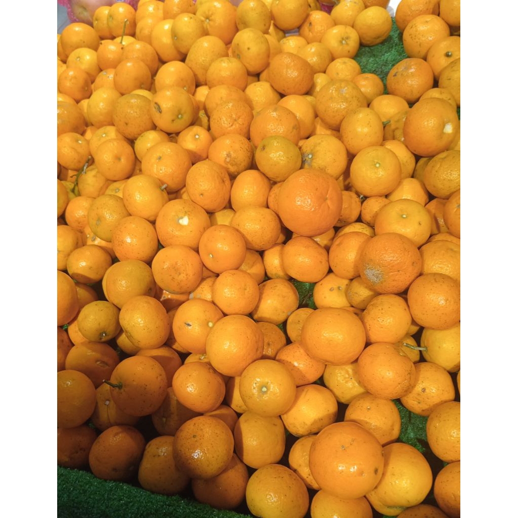 

Buah Jeruk Woju 1000 Gram / 1 Kg -Ratnstore_