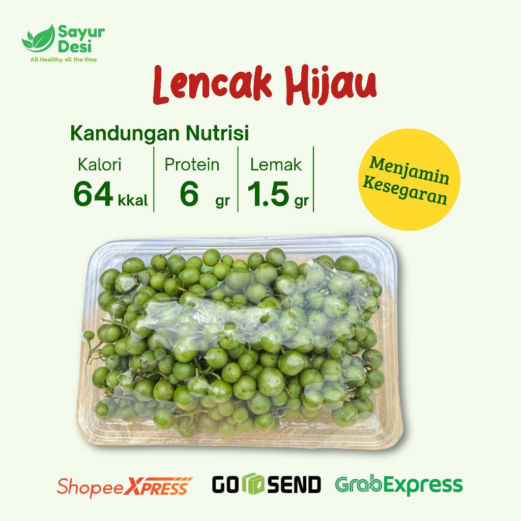 

Leunca atau Lencak Fresh 1000 Gram Sayur Desi