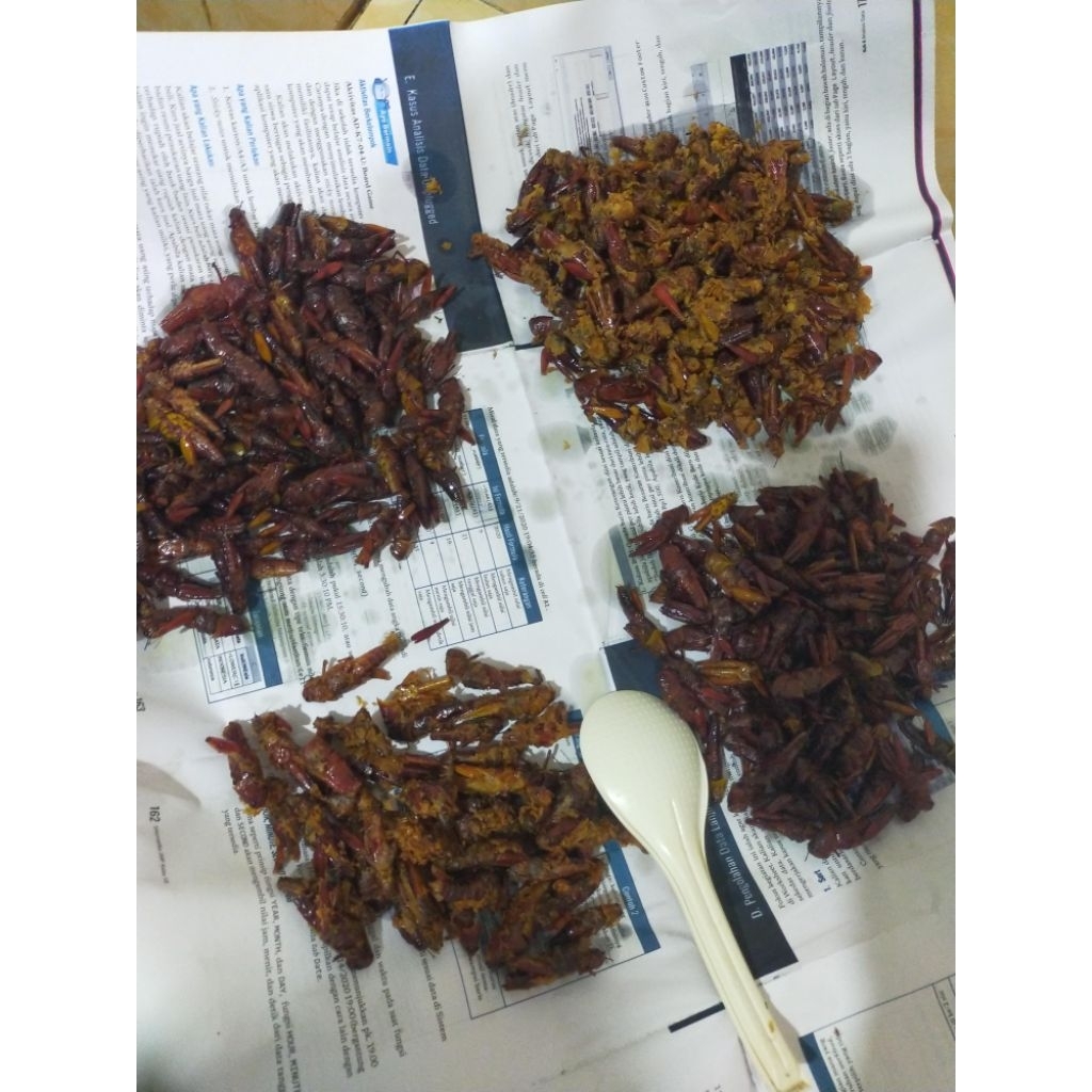 

BelalangCrispy