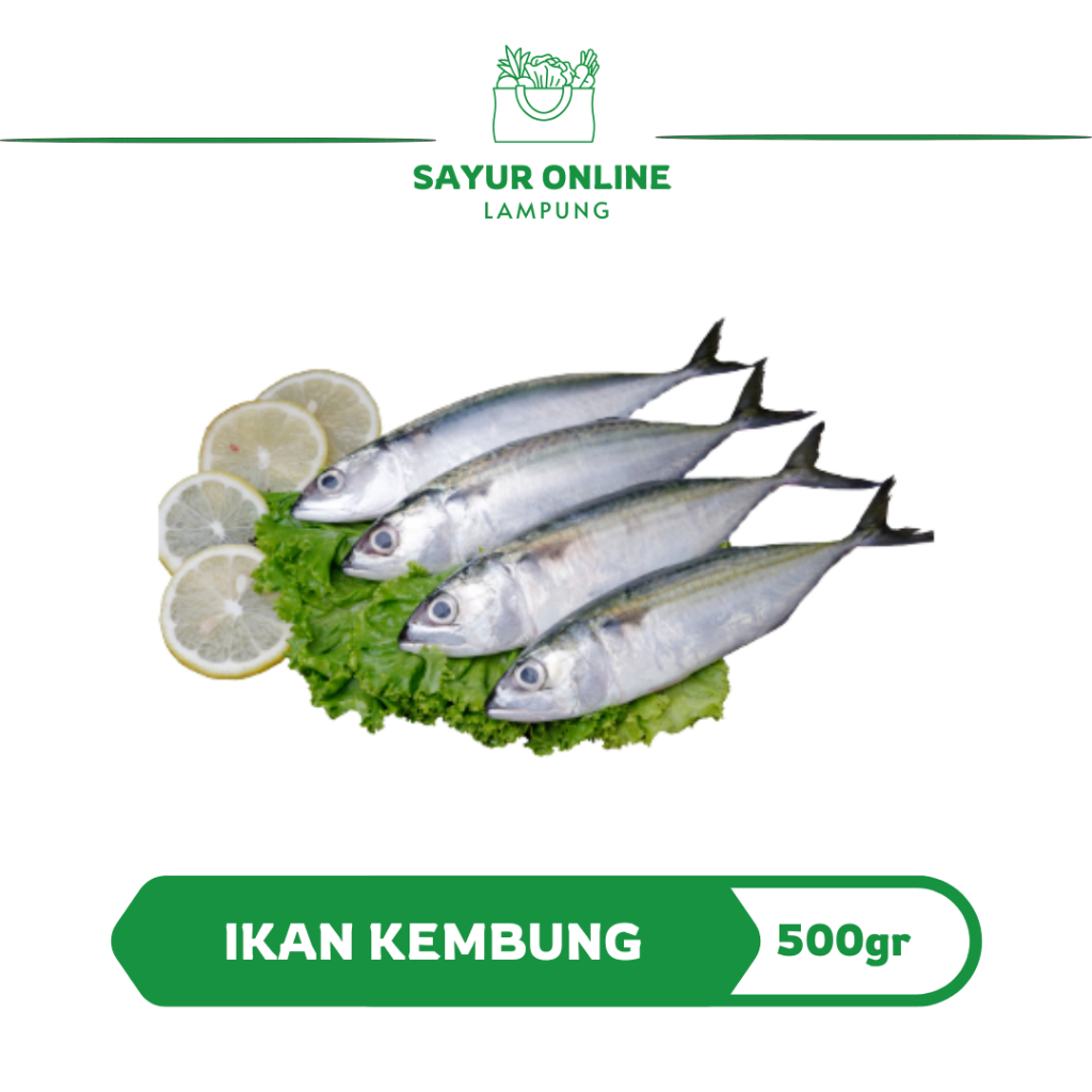 

Ikan kembung 500 gr Segar / Fres - Sayur Online Lampung