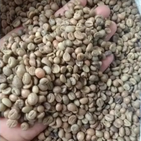 

Green Been Coffe Robusta Mandhaeling Grade A