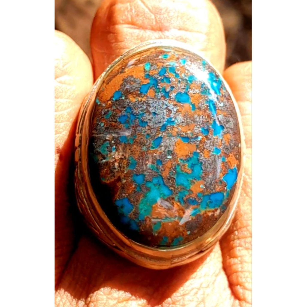 Pirus Persia lawasan Abdul Rozaq urat emas size jumbo