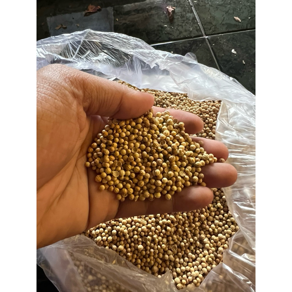 

Biji Ketumbar Putih Alami Tumbar Premium 1 kg dan 500 gram gr
