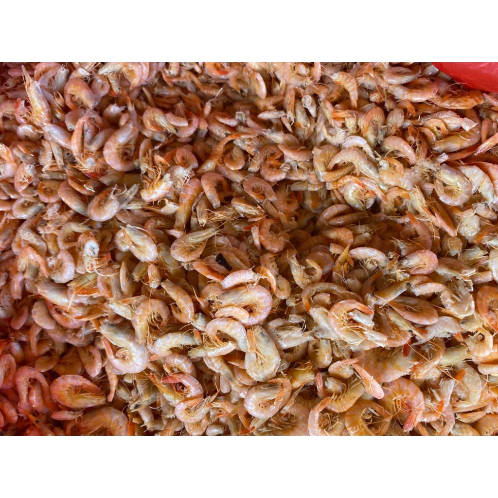 

Ikan Rebus UDANG ASIN Sibolga