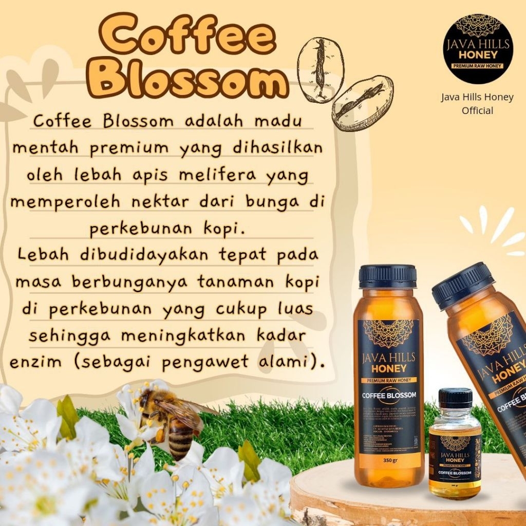 

COFFEE BLOSSOM ISI 320GR JAVAHILLS HONEY MADU MURNI 100% RAW HONEY MADU KOPI PENAMBAH NAFSU MAKAN