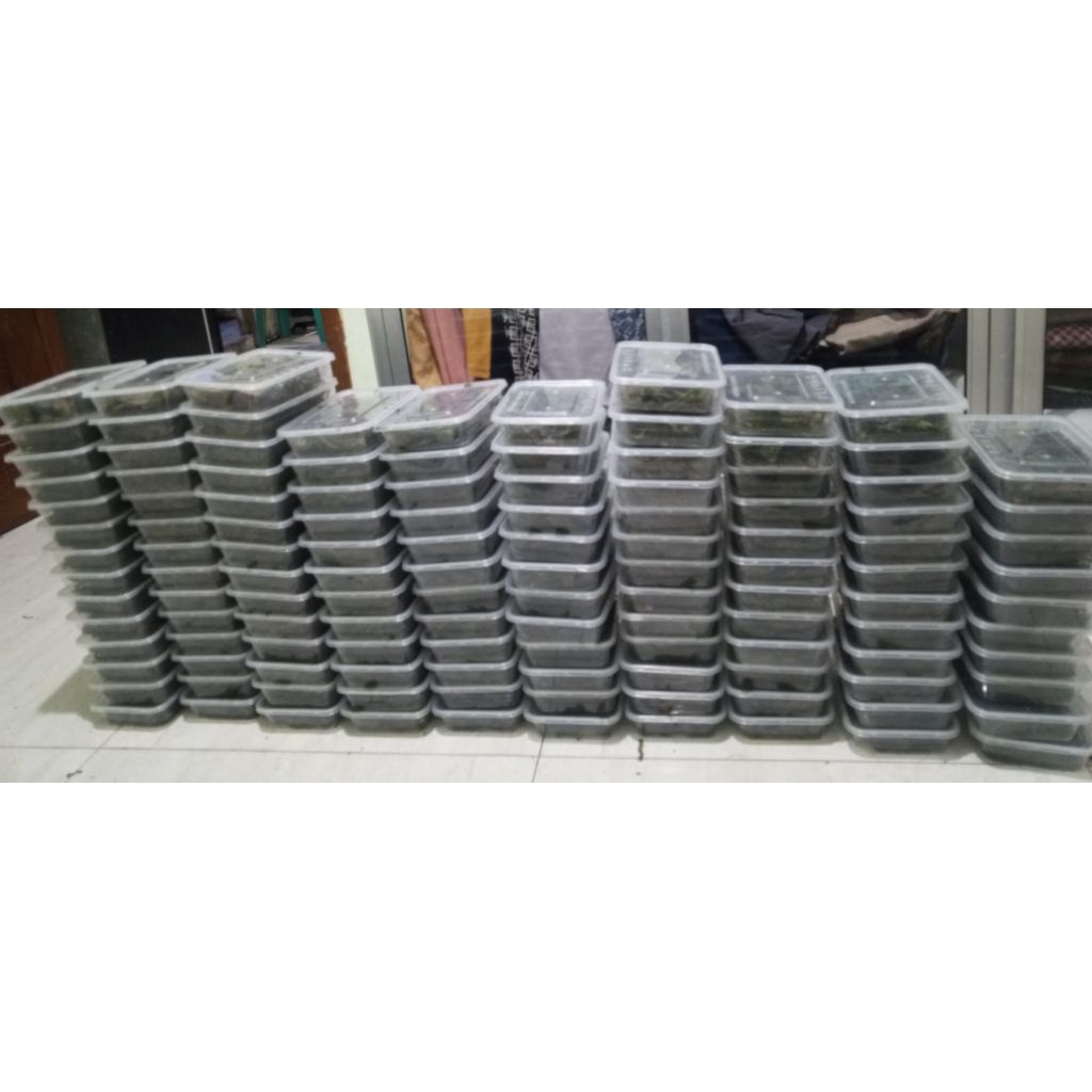 

Nori Rumput laut kemasan box 500ml