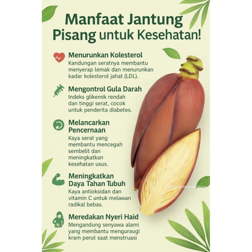 

Jantung Pisang Kepok Sayur Jantung Pisang Kepok organik Ready sayur orang kampung