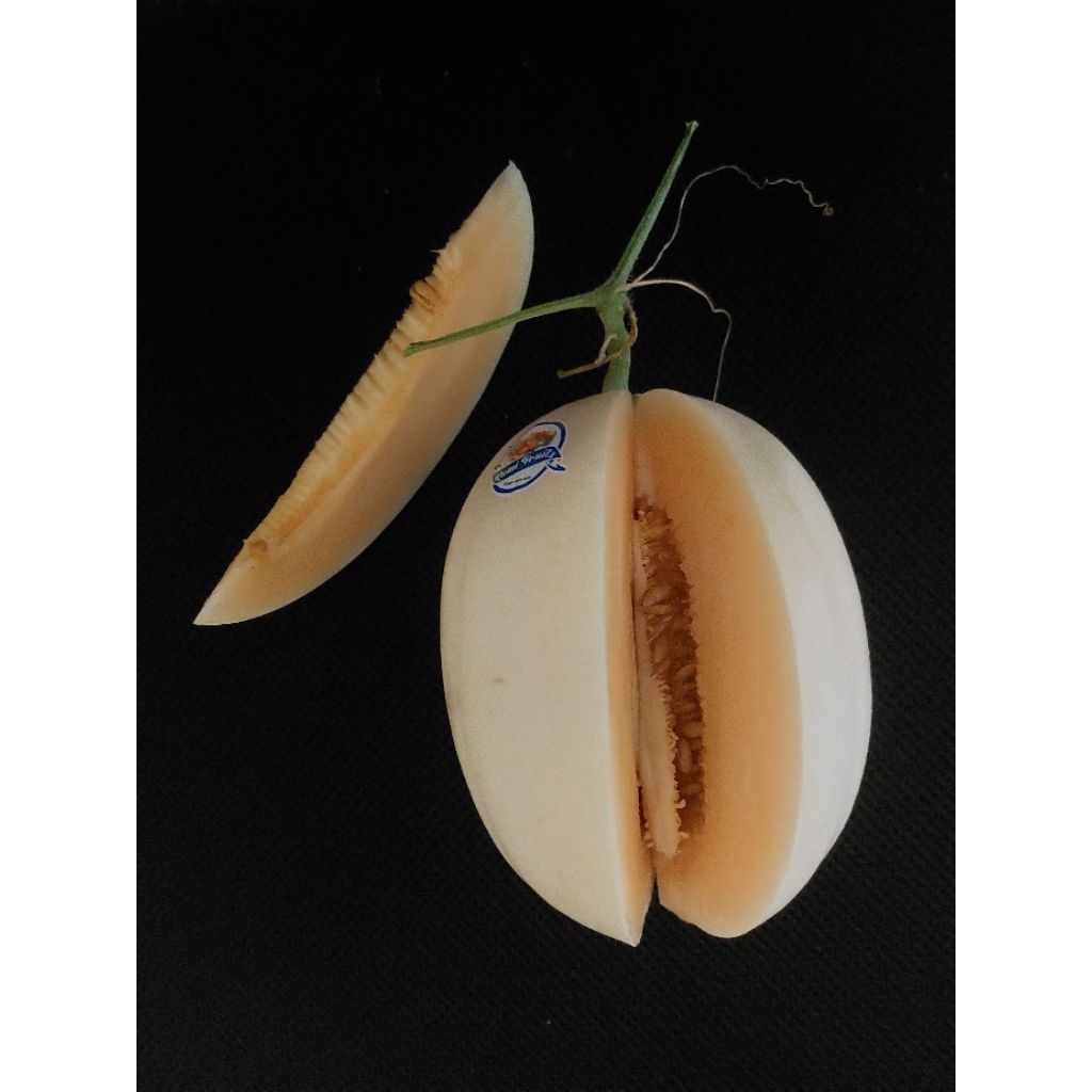 

Melon Hidroponik Premium Kirani