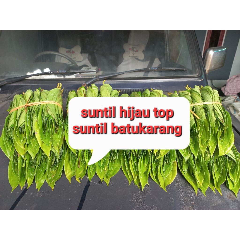 

top warna hijau 1 ons sirih enak