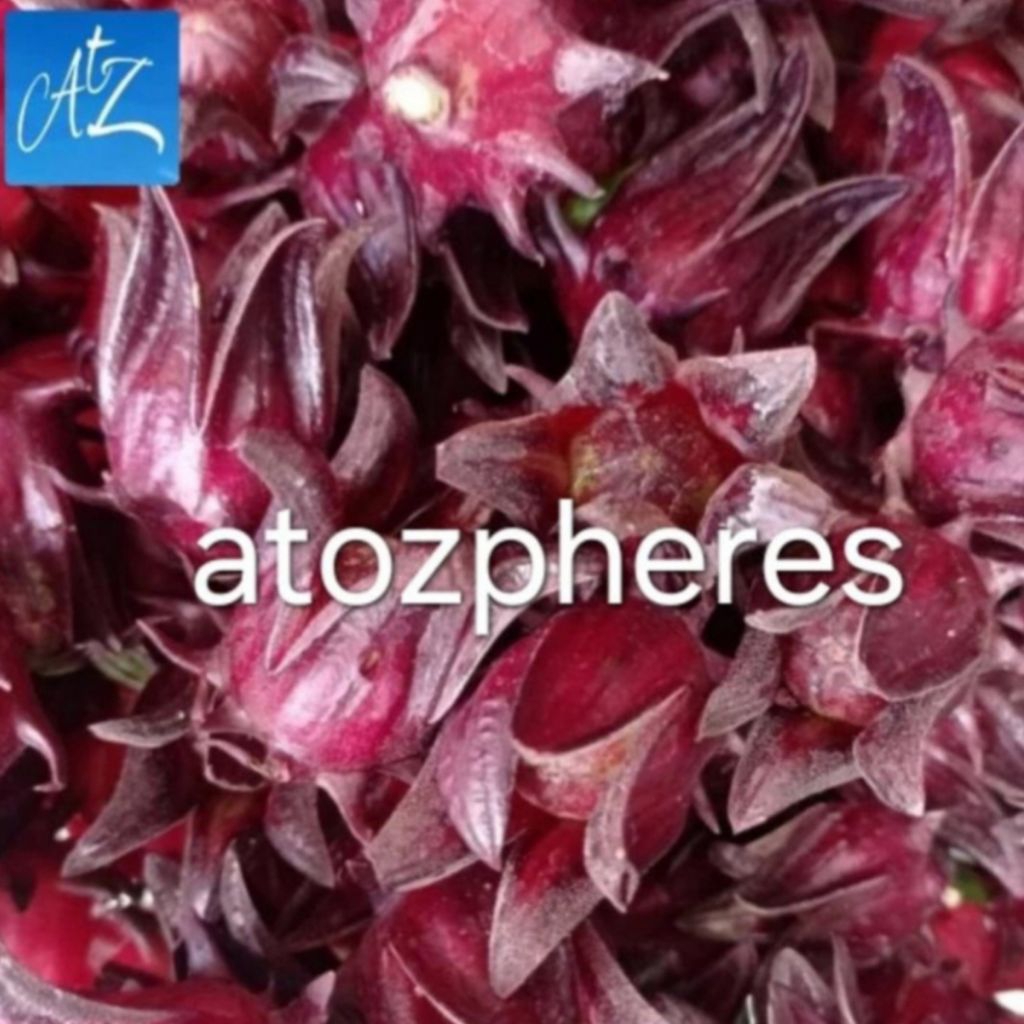 

Bunga Rosella Rosela merah segar pilihan fresh 100g