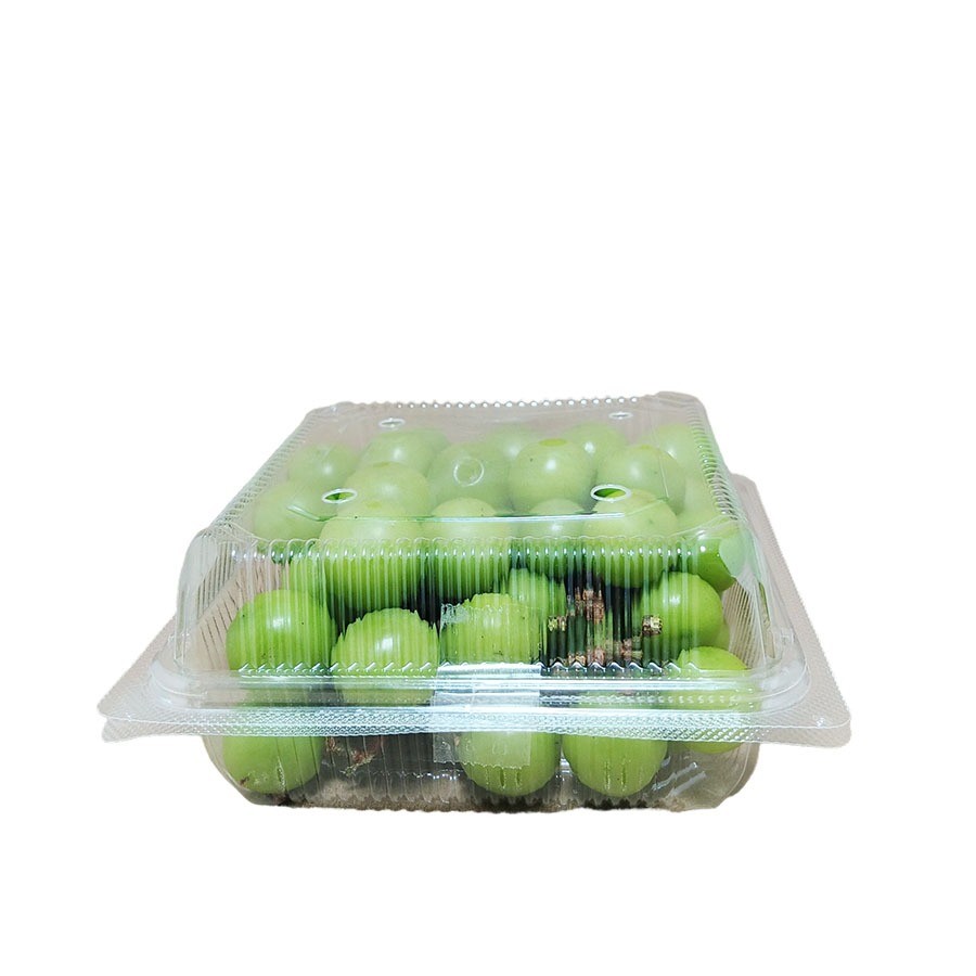 

ANGGUR SHINE MUSCAT 500 G