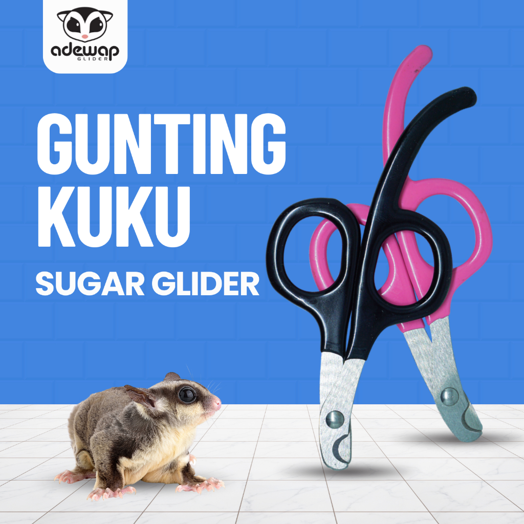 ADEWAP GLIDER Gunting Kuku Hewan Nail Clippers Trimmer Sugar Glider