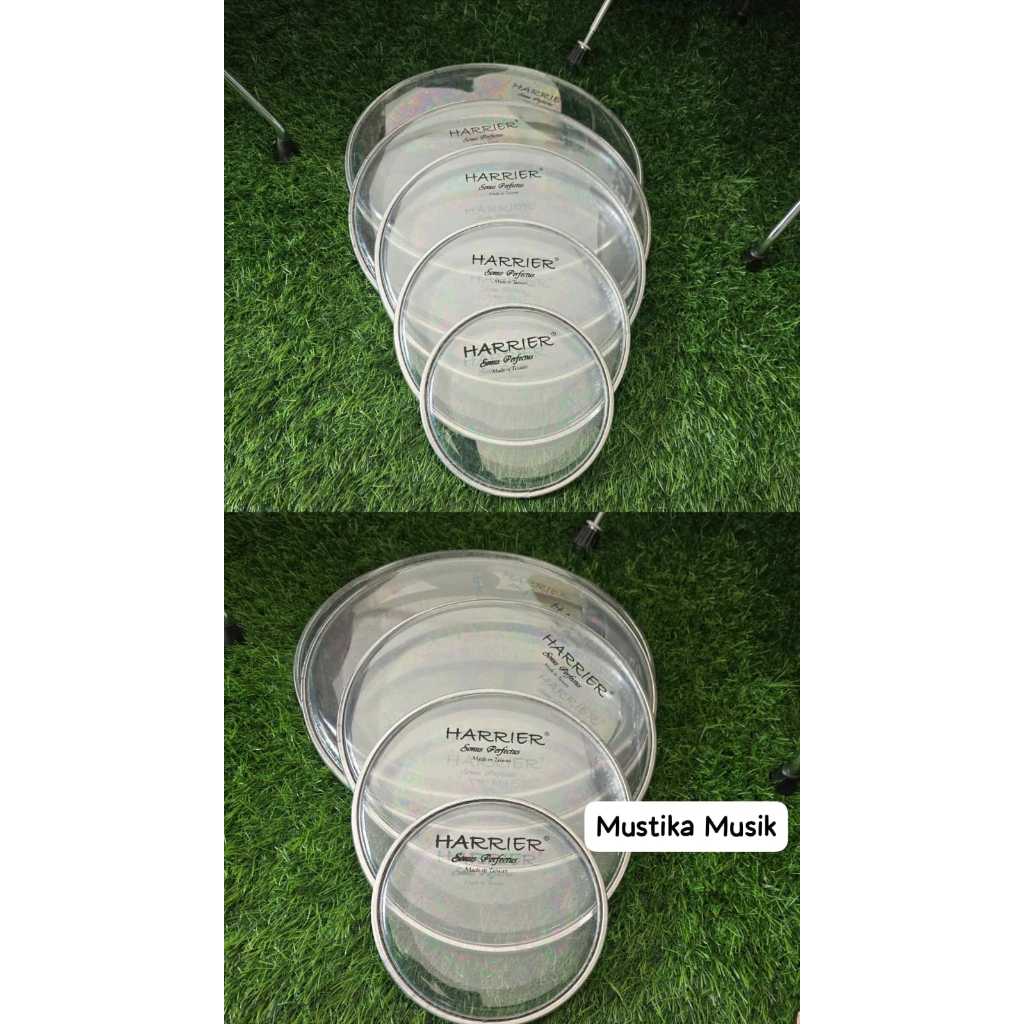 Head Quint Tom HARRIER Double Oil CLEAR